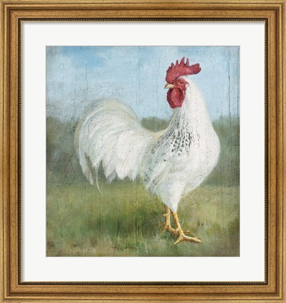 Framed Noble Rooster I Vintage No Border Print