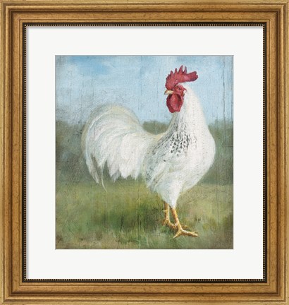 Framed Noble Rooster I Vintage No Border Print