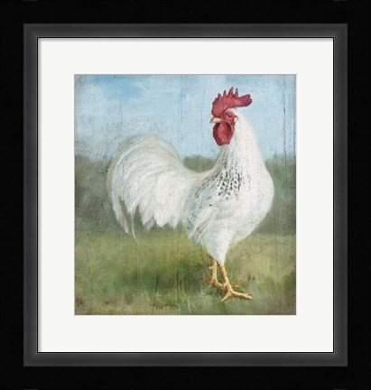 Framed Noble Rooster I Vintage No Border Print