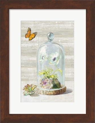 Framed Succulent Garden I Crop Print