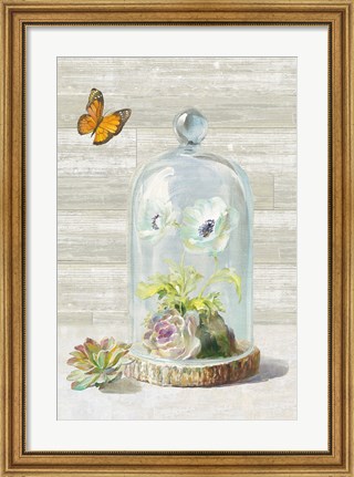 Framed Succulent Garden I Crop Print