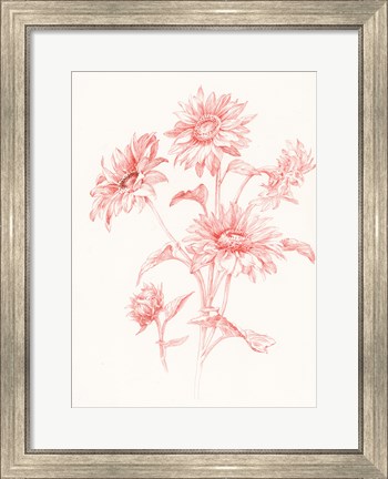 Framed Farm Nostalgia Flowers I Print
