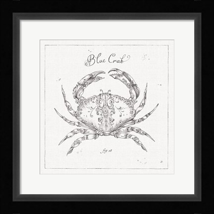 Framed Underwater Life IV Print