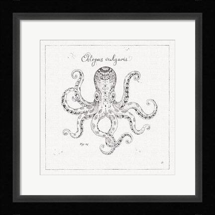 Framed Underwater Life III Print