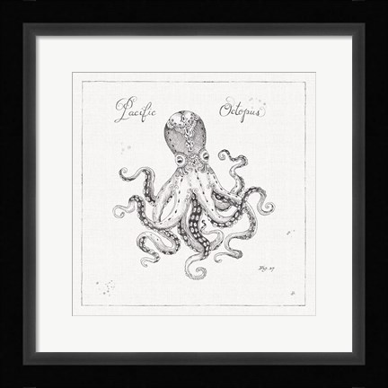 Framed Underwater Life II Print