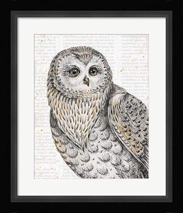 Framed Beautiful Owls IV Print