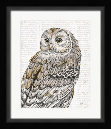 Framed Beautiful Owls III Print
