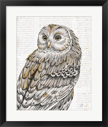 Framed Beautiful Owls III Print