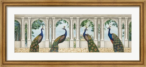 Framed Elegant Peacock I Print