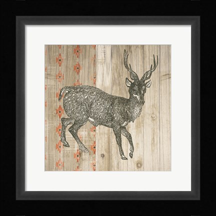 Framed Natural History Lodge Southwest III Print