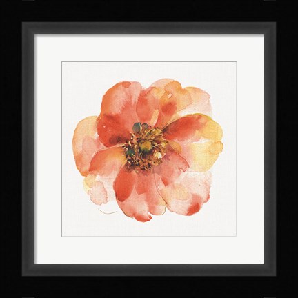 Framed Colorful Breeze IX Print