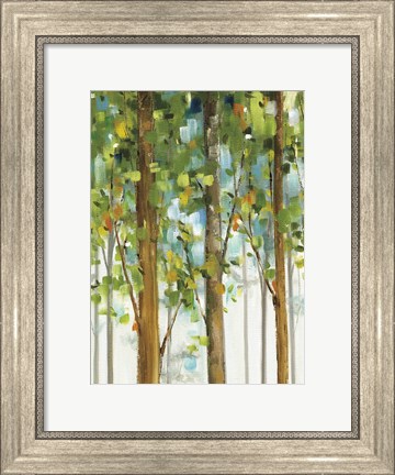 Framed Forest Study II SPC Print