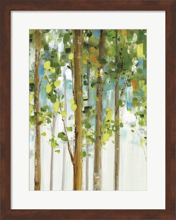 Framed Forest Study I SPC Print