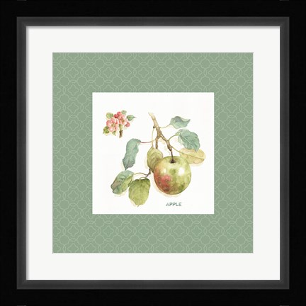 Framed Orchard Bloom I Border Print