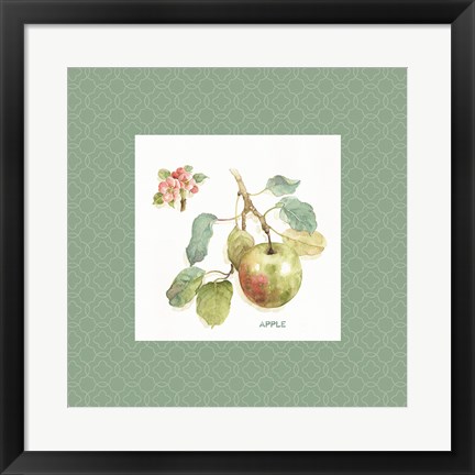 Framed Orchard Bloom I Border Print