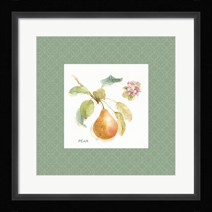 Framed Orchard Bloom II Border Print