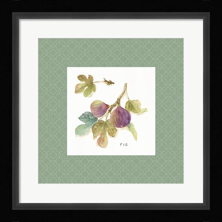 Framed Orchard Bloom III Border Print