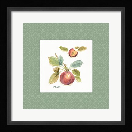 Framed Orchard Bloom IV Border Print