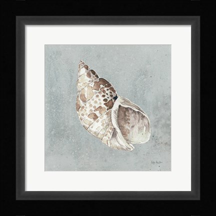Framed Sand and Seashells II Print