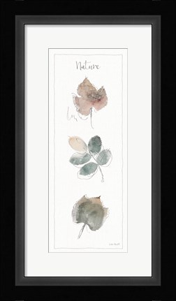 Framed Woodland Walk XVII Print