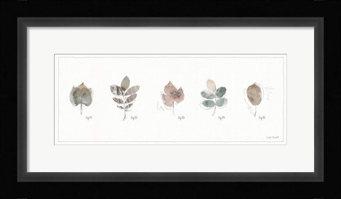 Framed Woodland Walk XV Print