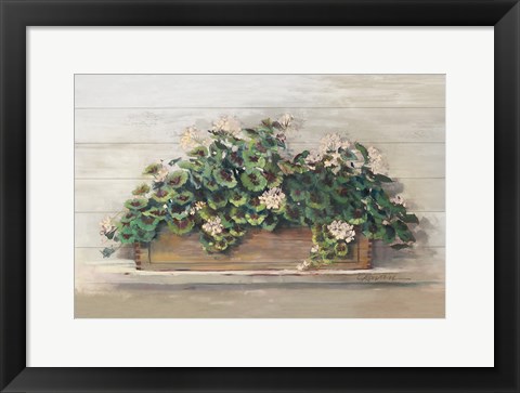 Framed Market Geraniums Crop Print