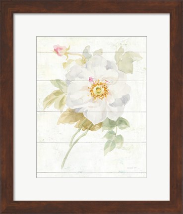 Framed June Blooms III Print