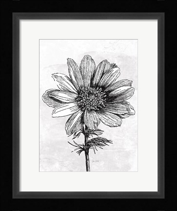 Framed Spa Botanical IV BW Crop Print