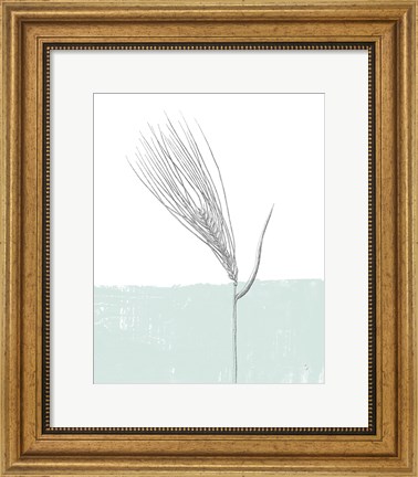 Framed Barley Print