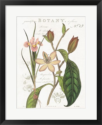 Framed Vintage Floral III Neutral Print