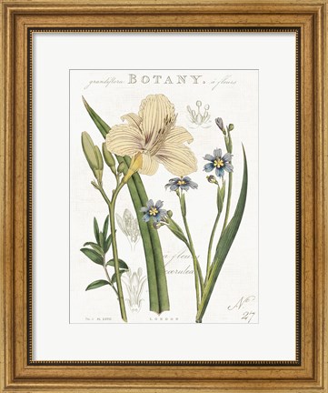 Framed Vintage Floral II Neutral Print