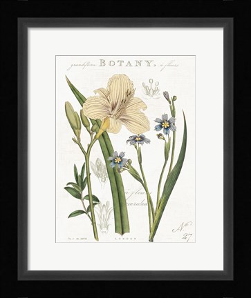 Framed Vintage Floral II Neutral Print