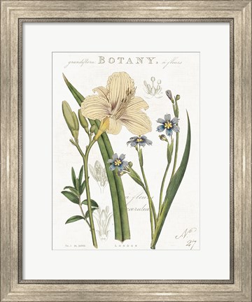Framed Vintage Floral II Neutral Print