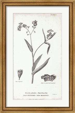 Framed Conversations on Botany I Print