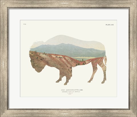 Framed American Southwest Buffalo Print
