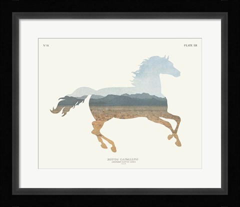 Framed American Southwest Horse Print