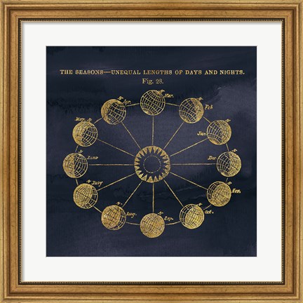 Framed Geography of the Heavens VII Blue Gold Print