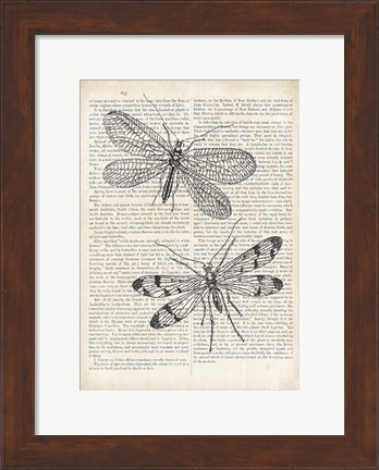 Framed Vintage Dragonflies on Newsprint Print