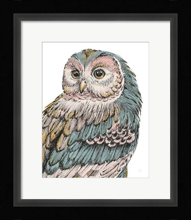 Framed Beautiful Owls I Pastel Print