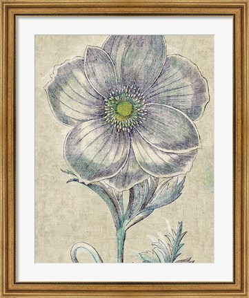 Framed Belle Fleur II Crop Linen Print