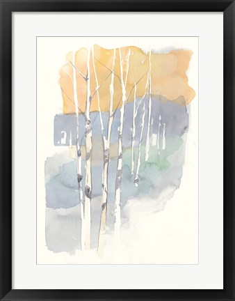 Framed Aspens II Print