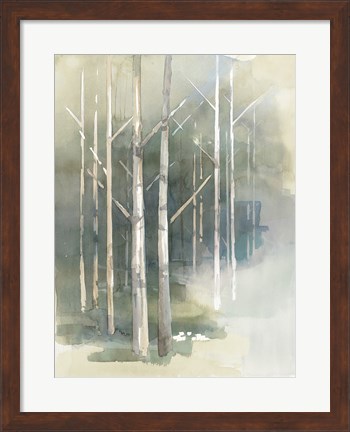Framed Birch Grove II Print