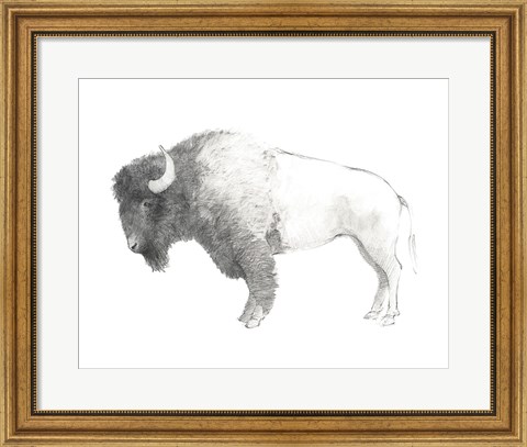 Framed Bison Dark Print