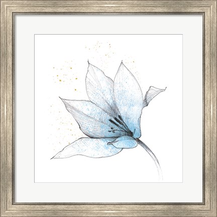 Framed Blue Graphite Flower IX Print