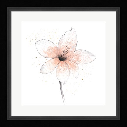 Framed Coral Graphite Flower II Print