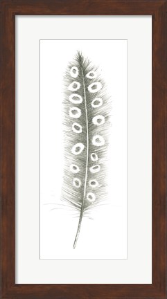 Framed Feather Sketches VII Print