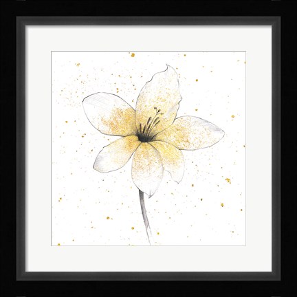 Framed Gilded Graphite Floral II Print