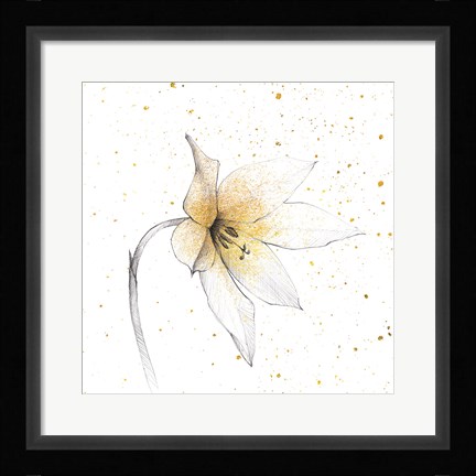 Framed Gilded Graphite Floral VIII Print