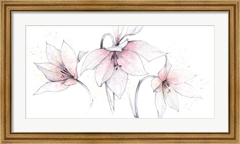 Framed Pink Graphite Floral Trio Print
