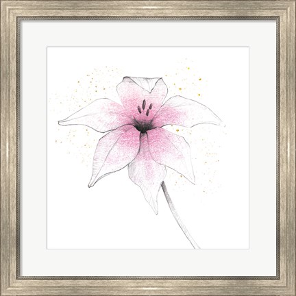 Framed Pink Graphite Flower V Print